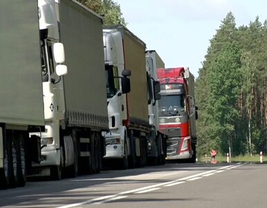 Miniatura: Ciężki transport w Unii Europejskiej....