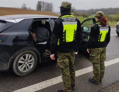 Miniatura: Chcieli się dostać do Niemiec, skończyli w...