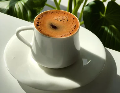 Miniatura: Greczynki piją ją codziennie. Ta kawa syci...