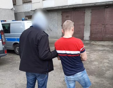 Miniatura: Ukradł samochód z pasażerką w środku....