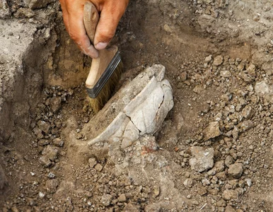 Miniatura: Sensacyjne odkrycie archeologów.  Nasi...