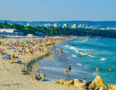 Miniatura: Koniec tanich wakacji? Popularny wśród...