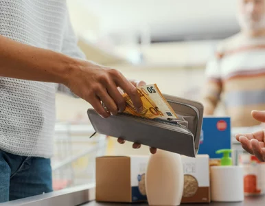 Miniatura: Kursy walut 23 grudnia 2025. Po ile dolar,...