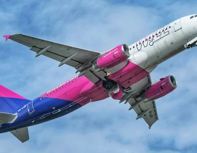Miniatura: Wizz Air z przykrymi wiadomościami dla...