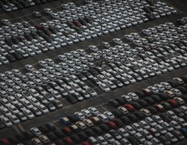 Branża dealerów samochodów to najbardziej polska branża naszej gospodarki
