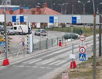 Miniatura: Zielona Karta. W Rosji i Białorusi już z...
