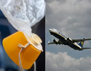 Miniatura: Pasażer „wyssany” przez okno. Agencja...