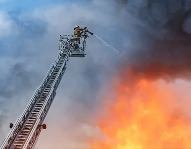 Miniatura: Ogień strawił poddasze. W zgliszczach...