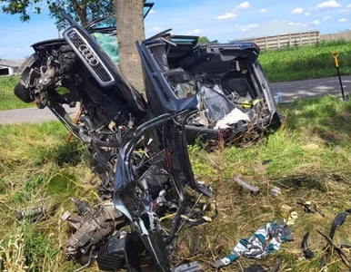 Miniatura: Tragiczny wypadek na Pomorzu. Audi...