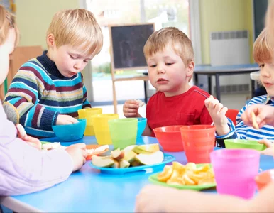 Miniatura: Sklepikowe wchodzi w życie. Przełomowa...