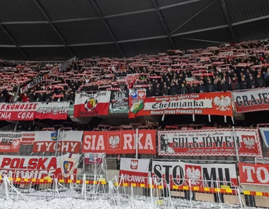 Miniatura: Szaleństwo ws. biletów na Szwecja –...